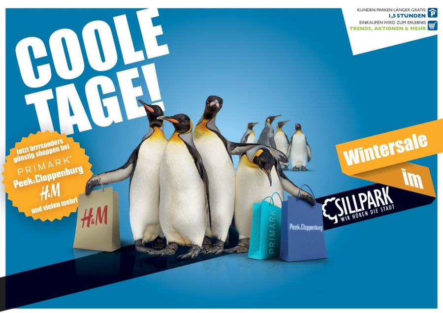 Pinguine im Anmarsch